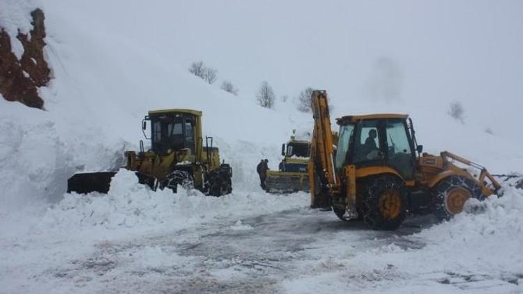 Tunceli’de 44 Köy Yolu Ulaşıma Kapalı Bulunuyor