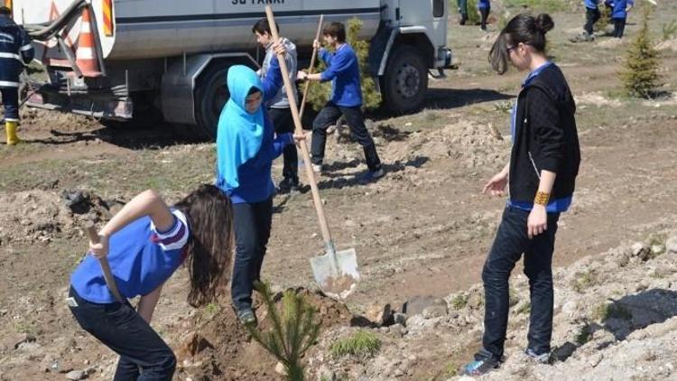 Mimarsinan Bahçelievler Mahallesi’nde Ağaçlandırma Çalışmaları