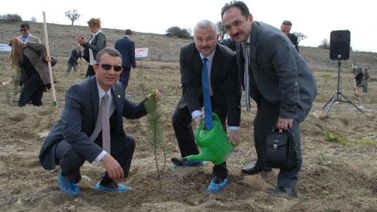 Burdur’a 5 Bin Fidanla Bereket Ormanı