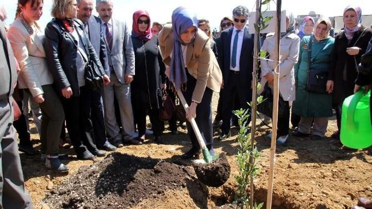 Hatay’da Bereket Ormanına 10 Bin Fidan