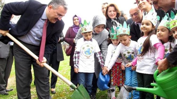 Bereket Ormanında Fidanlar Toprakla Buluştu