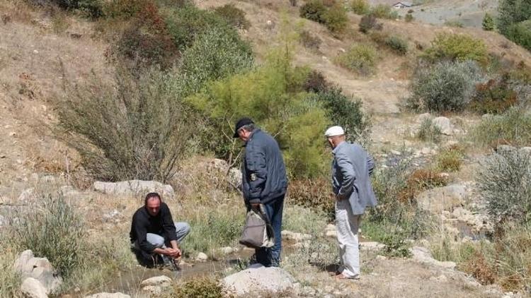 Çoruh Havzası Projesi Kapsamında Çiftçi Destekleri Başladı