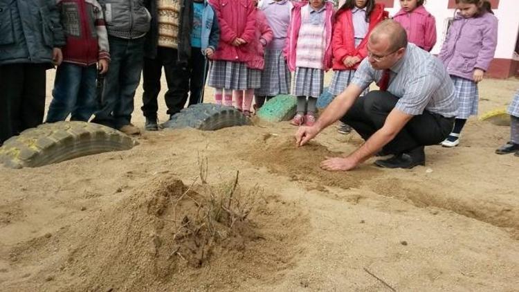 Doğal Afetlere Karşı Korunma Yolları Yapay Oluşumlarla Anlatıldı