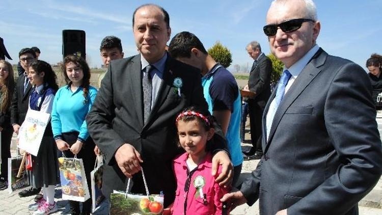 Amasya’da Fidanlar Toprakla Buluştu