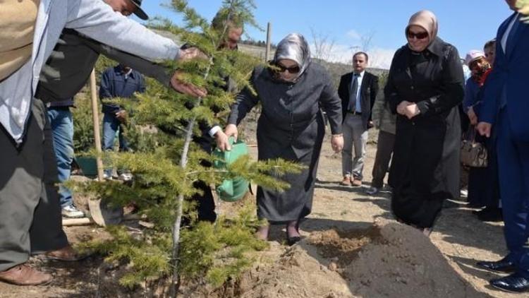 Gönül Elçileri Erzincan’da “Bereket Ormanı” Oluşturdu