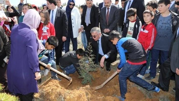 Fidanlar Bereket Ormanları İçin Dikildi