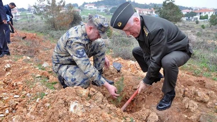 Ayvalık’ta Başkan Gençer Protokol Fıstık Çamı Dikti