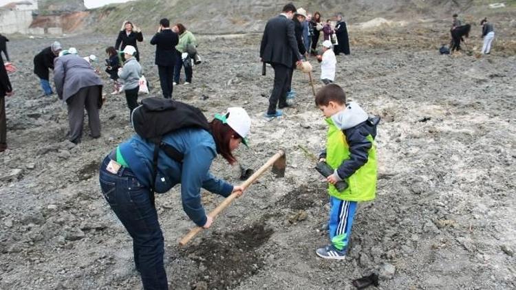 Tekirdağ’da 200 Fidan Toprakla Buluştu