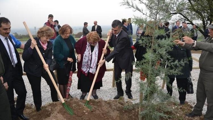 Manisa’da Gönül Elçileri ‘Bereket Ormanı’ Oluşturdu