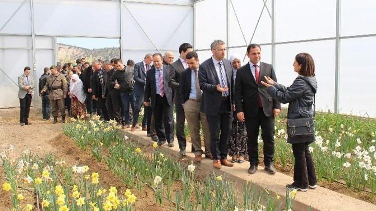 Eskişehir’de Nergis Çiçeği Projesi Tanıtım Toplantısı