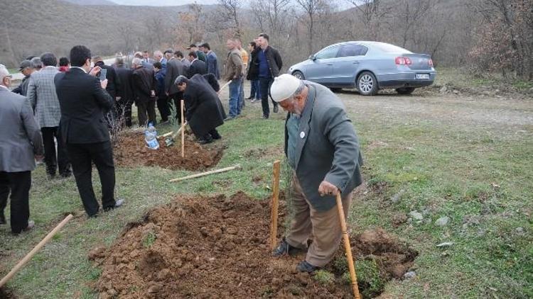 Tokat’ta Cumhurbaşkanı Erdoğan Hatıra Ormanı