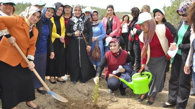 Erdemli’de Bereket Ormanı Kuruldu