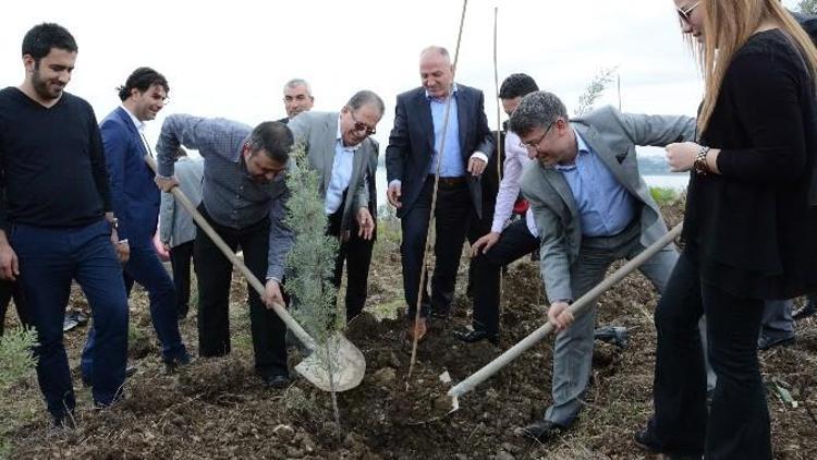 AK Parti Yeşil Bir Ülke Hedefi İçin Fidan Dikti