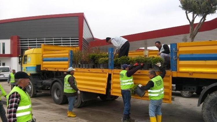 Soma’nın Yeni Otogarında Çevre Düzenlemesi Yapılıyor