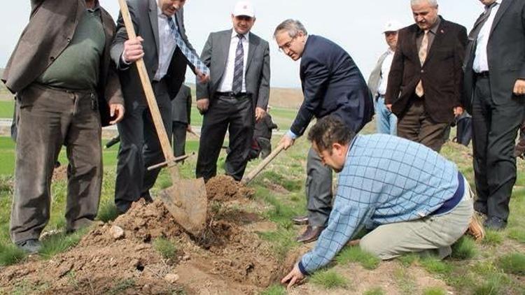 Sungurlu’da Ormancılık Haftası Etkinlikleri