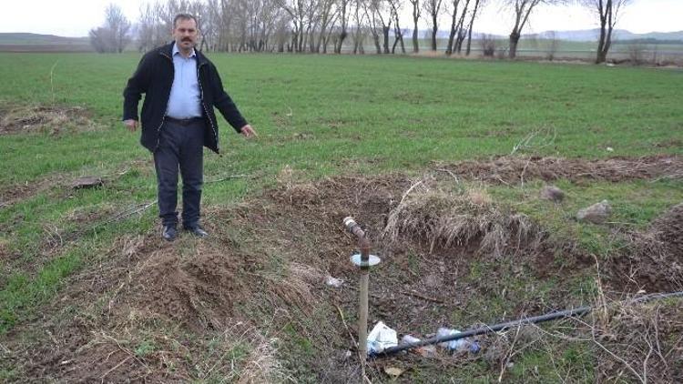 Sarımsaklı Köyü Muhtarı Mehmet Yazlık: