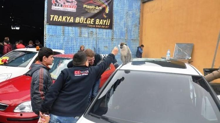 Tuning Fest 2015 Tekirdağ Fuarında Modifiye Araç Tutkunları Bir Araya Geldi