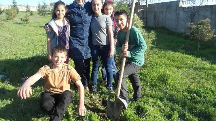 Öğrencilere Meyvecilikte Budama Öğretildi