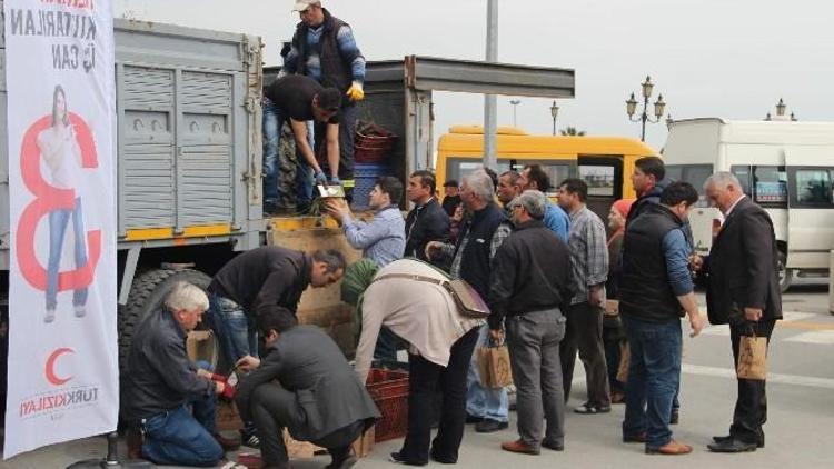 Türk Kızılayı Orta Karadeniz Kan Merkezi 5 Bin Fidan Dağıttı