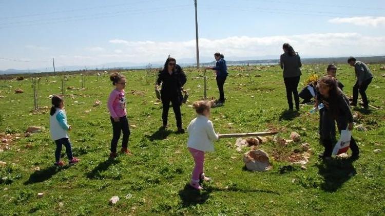 Didim’de Öğrenciler 75 Gençlik Hatıra Ormanına Fidan Dikti