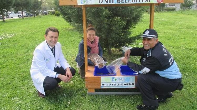 İzmit’te Sokak Hayvanlarını Besleme Noktaları Kuruldu