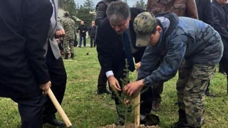 Şehit Pilotlar Adına Hatıra Ormanı Oluşturuldu