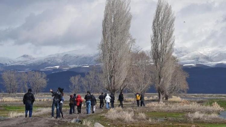 Erzurum Ovasında Kuş Gözlemlediler