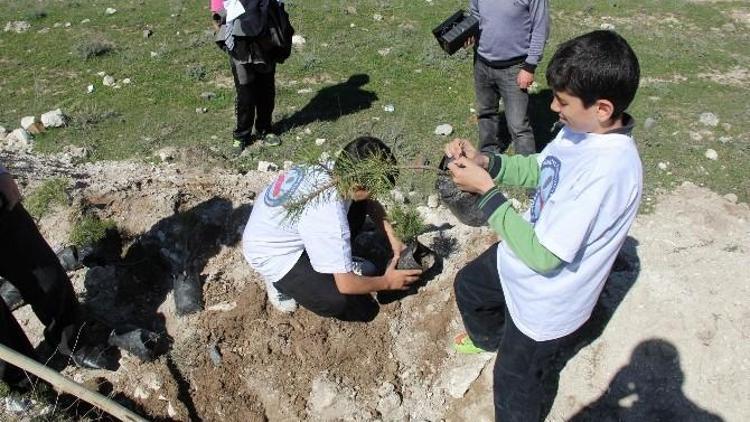 Öğrenciler Çanakkale Şehitleri İçin Fidan Dikti