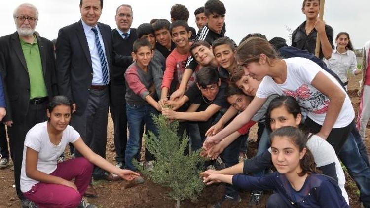 Kaymakam Sündük Öğrencilerle Birlikte Fidan Dikti