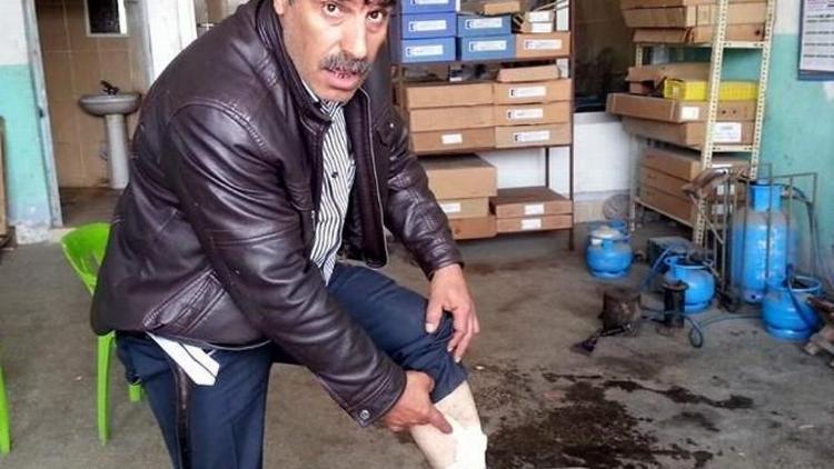 Köpeklerin Saldırısına Uğrayan Şahıs Yaralandı