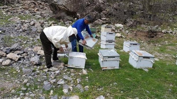 Hakkarili Arıcılardan Bakım Çalışması