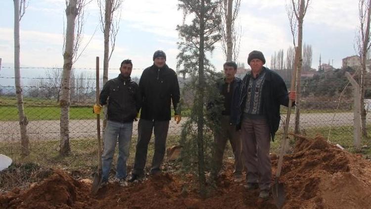 Esire Termal Turizm Merkezinde Çevre Düzenleme Çalışmaları