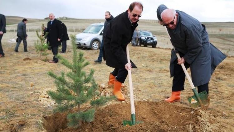 Bayburt’ta Şehit Savcı Mehmet Selim Kiraz Hatıra Ormanı Oluşturuldu