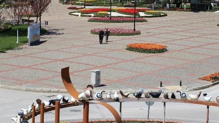 Gaziantep Çiçeklerle Güzelleşiyor