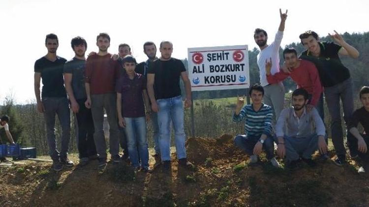 Yenice’de Şehit Ali Bozkurt Korusunun Tabelası Dikildi