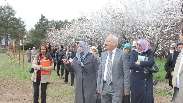 Kadın Çifçiler Tarımsal Yeniliklerle Buluşuyor