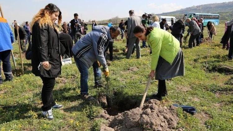 Bölge Halkı Ve Berksoy Özel Eğitim Ve Rehabilitasyon Merkeziöğrencilerinin Katılımları İle Bölge Ağaçlandırma Çalışmaları