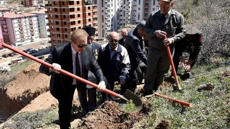 Gümüşhane Sarıkamış Şehitleri Ormanı Oluşturuldu