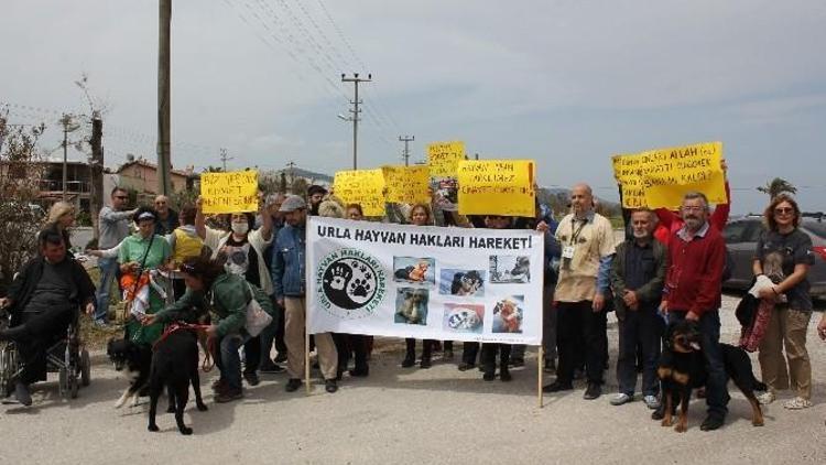 Urla’da Hayvan Katliamı Protesto Edildi