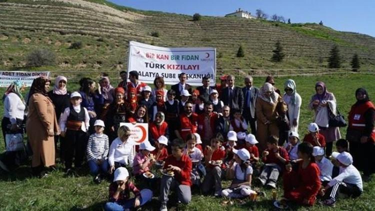 Kızılay, Bağışçıları Adına Fidan Dikti