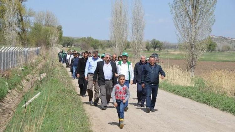 Kayseri Şeker Pancar Ekim Günleri Başladı