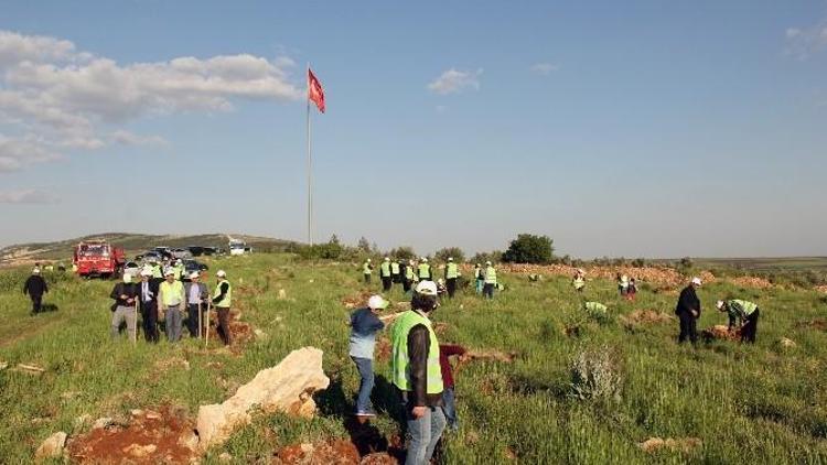 ‘Gtb Hatıra Ormanı’ Kuruldu