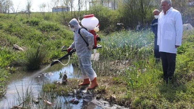 Çerkezköy’de Larva Üreme Alanları İlaçlandı