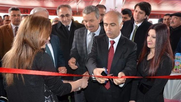 Giresun’da Fındık Sektörü Yeni Bir Yatırım Kazandı