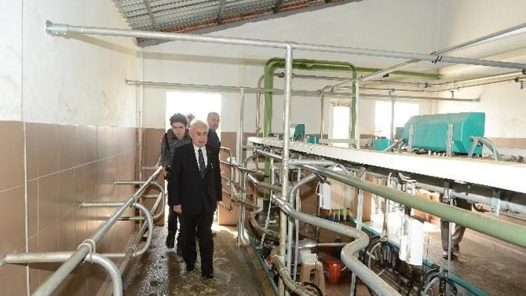 Edirne’nin Süloğlu İlçesinde Toplu Süt Sağım Merkezi Açıldı