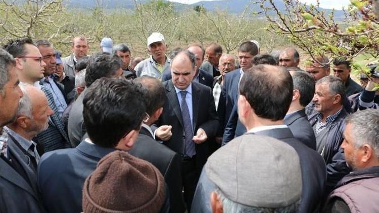 Don Vuran Meyve Bahçelerinde Hasar Tespiti Yapıldı