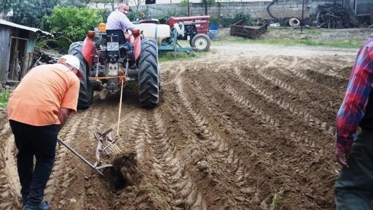 Sarıgöllü Kardeşlerin Pratik Zekası