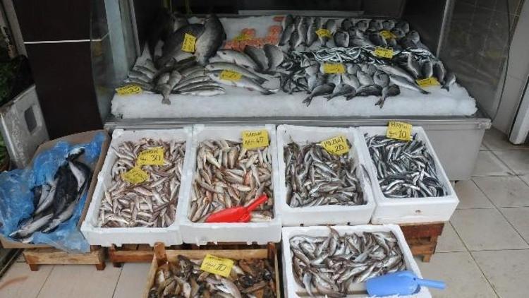 Balık Yasağı Başladı Balık Fiyatları Arttı