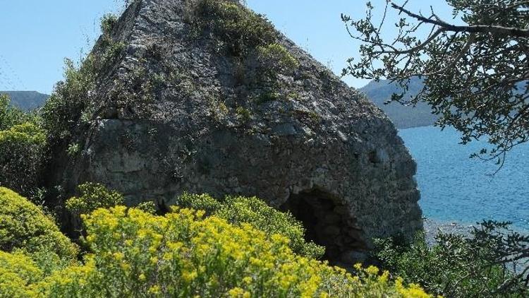 Piramit Türbe Kaderine Terk Edildi