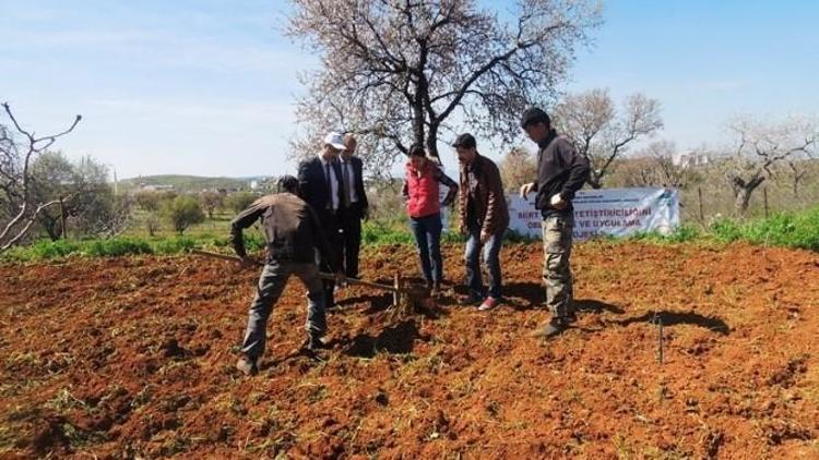 GAP’tan Siirtli Çiftçilere Destek